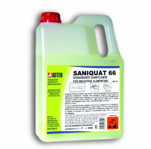 Surfaces & sols SANIQUAT 66 5L