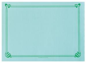 Nappes et Sets de tables Sets de table papier Vert d'Eau 31x43cm / 2000 U