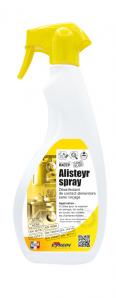 Surfaces & sols ALISTEYR SPRAY (PAE)